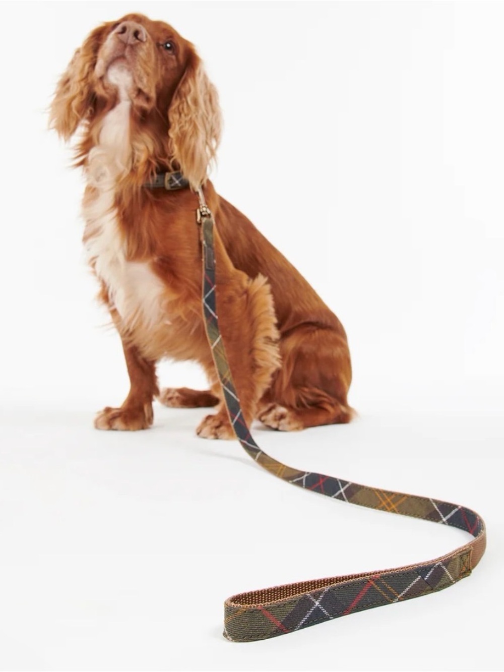 Barbour Classic Tartan Webbing Dog Lead
